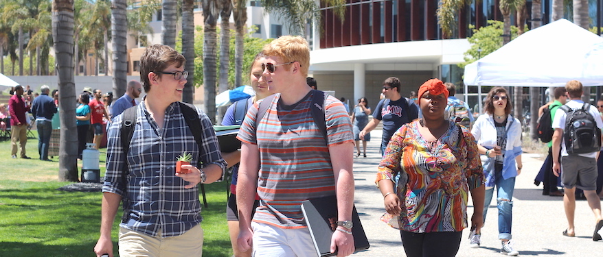 Students on palm walk